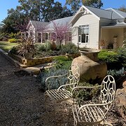 Home Owner wanting sitter in , South Australia