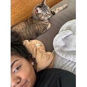 House Sitter - Pawfect Care 