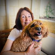 House Sitter - Sandie - Reliable & Caring