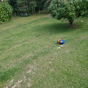 Home Owner wanting sitter in Coffs Harbour, New South Wales