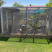 Home Owner wanting sitter in Adelaide, South Australia