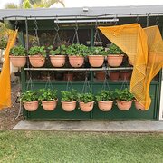 Home Owner wanting sitter in Hervey Bay, Queensland