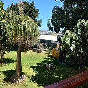 Home Owner wanting sitter in Adelaide , South Australia