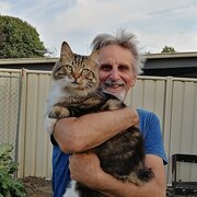 Home Owner wanting sitter in Bendigo, Victoria