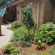 Home Owner wanting sitter in Albury/Wodonga, Victoria