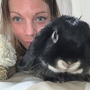 House Sitter - Professional pet sitter / enviro Sc. 