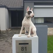 Home Owner wanting sitter in GOLDEN BAY, Western Australia