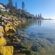 Home Owner wanting sitter in Woody Point, Queensland