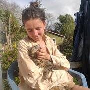 House Sitter - Loving, responsible & caring pet sitters