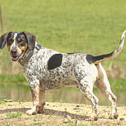 Home Owner wanting sitter in , New South Wales