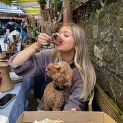 House Sitter - Realisable and trustworthy sitter 