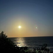 House Sitter - Country Girl