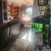 Home Owner wanting sitter in , Victoria