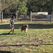 Home Owner wanting sitter in Perth, Western Australia