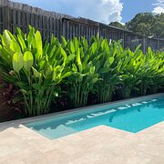 Home Owner wanting sitter in , Queensland