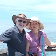 House Sitter - Focal