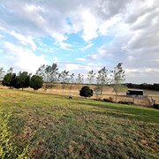 Home Owner wanting sitter in , New South Wales