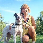 House Sitter - Trusted Paw Sitter : Mica 