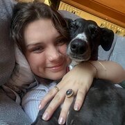 House Sitter - Isabella