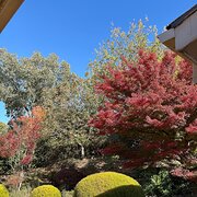 Home Owner wanting sitter in , Australian Capital Territory