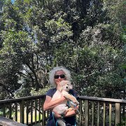 House Sitter - Active retirees 