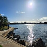 Home Owner wanting sitter in Adelaide, South Australia