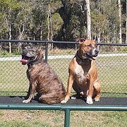 Home Owner wanting sitter in Albany , Western Australia