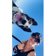 House Sitter - Experienced and trustworthy professional