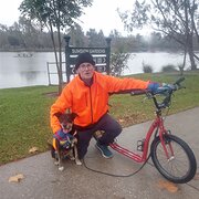 Home Owner wanting sitter in Albury Wodonga, New South Wales