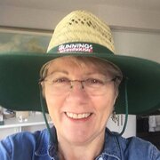 House Sitter - Amanda - semi retired teacher