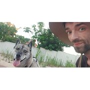 House Sitter - Responsible Reliable Caring