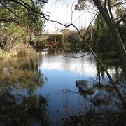 Home Owner wanting sitter in , South Australia