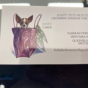 House Sitter - FURBABIES HOMESTAY