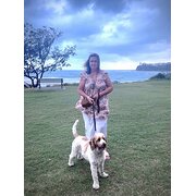 House Sitter - Dedicated and Reliable