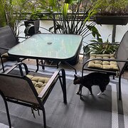 Home Owner wanting sitter in , New South Wales