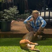 House Sitter - Jak Johnson