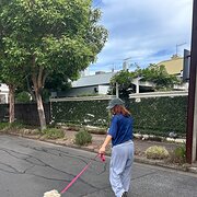 House Sitter - Responsible & caring