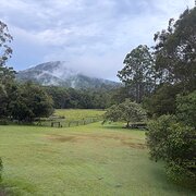 Home Owner wanting sitter in Brisbane , Queensland