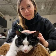 House Sitter - Mature-minded, respectful and responsive