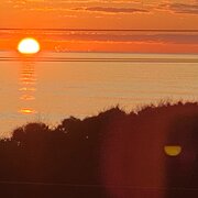 Home Owner wanting sitter in Busselton, Western Australia