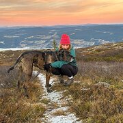 House Sitter - Helga & Harrison