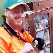 House Sitter - The Animal Carer