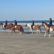 Home Owner wanting sitter in , South Australia