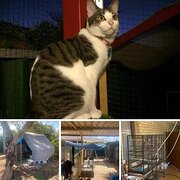 Home Owner wanting sitter in , Western Australia