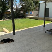 Home Owner wanting sitter in Perth, Western Australia