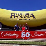 House Sitter - Georgina