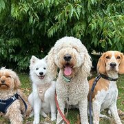 House Sitter - Donna 