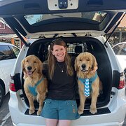 House Sitter - Responsible and Caring Sitter