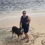 House Sitter - In good hands 