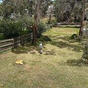 Home Owner wanting sitter in Geelong, Victoria